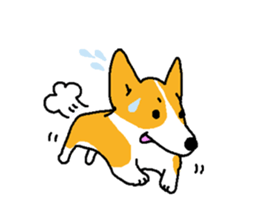 corgitaro sticker #8503046