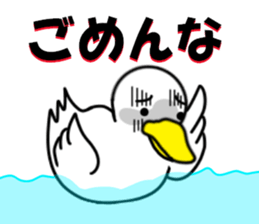 fcf bird sticker #8504392