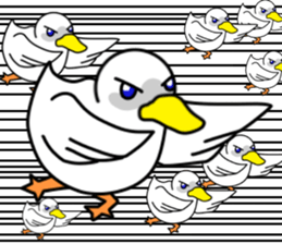 fcf bird sticker #8504396