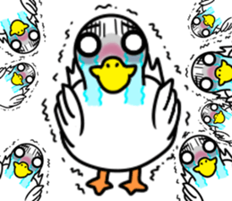 fcf bird sticker #8504397