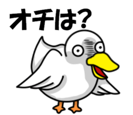 fcf bird sticker #8504402