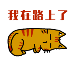 cats general talk-little tiger sticker #8505023