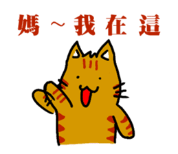 cats general talk-little tiger sticker #8505052