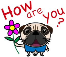 Pretty Pug!2 sticker #8509159