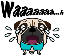 Pretty Pug!2 sticker #8509173