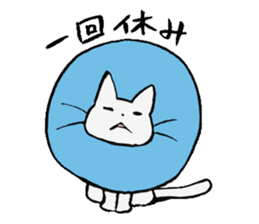 cat!!! anywhere anytime sticker #8509588