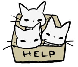 cat!!! anywhere anytime sticker #8509598