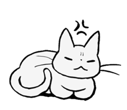 cat!!! anywhere anytime sticker #8509602