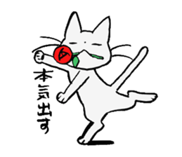 cat!!! anywhere anytime sticker #8509603