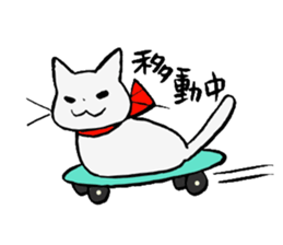 cat!!! anywhere anytime sticker #8509618