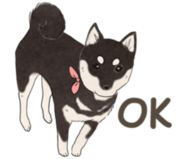 Black Mame Shiba . sticker #8513162