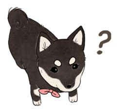 Black Mame Shiba . sticker #8513168