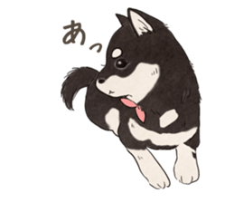 Black Mame Shiba . sticker #8513169