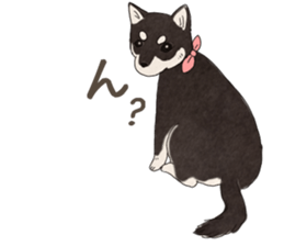 Black Mame Shiba . sticker #8513173