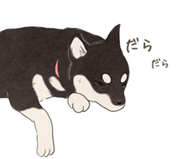 Black Mame Shiba . sticker #8513176