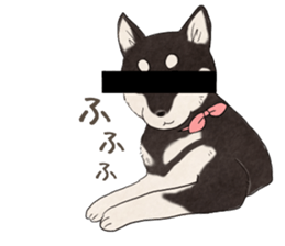 Black Mame Shiba . sticker #8513177
