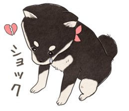 Black Mame Shiba . sticker #8513179