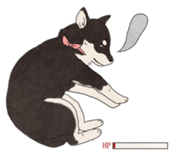 Black Mame Shiba . sticker #8513180