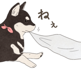 Black Mame Shiba . sticker #8513181