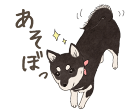 Black Mame Shiba . sticker #8513183