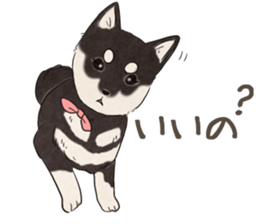 Black Mame Shiba . sticker #8513184