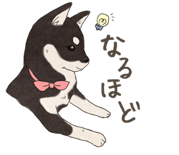 Black Mame Shiba . sticker #8513185