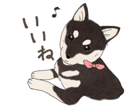 Black Mame Shiba . sticker #8513186