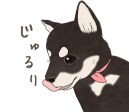 Black Mame Shiba . sticker #8513187