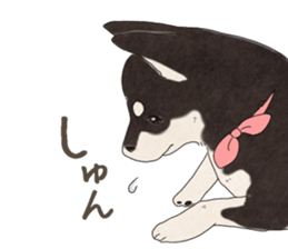 Black Mame Shiba . sticker #8513192