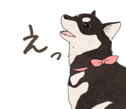 Black Mame Shiba . sticker #8513193