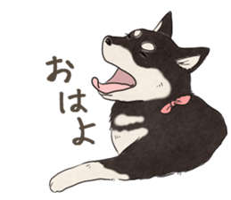 Black Mame Shiba . sticker #8513196