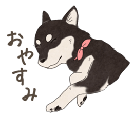 Black Mame Shiba . sticker #8513197