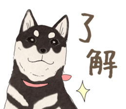 Black Mame Shiba . sticker #8513199