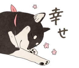 Black Mame Shiba . sticker #8513201