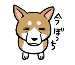 NO DOG NO LIFE sticker #8516204