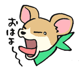 NO DOG NO LIFE sticker #8516209