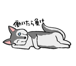 NO DOG NO LIFE sticker #8516217