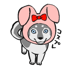 NO DOG NO LIFE sticker #8516220