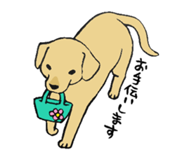 NO DOG NO LIFE sticker #8516221