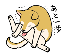 NO DOG NO LIFE sticker #8516223