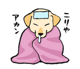 NO DOG NO LIFE sticker #8516225