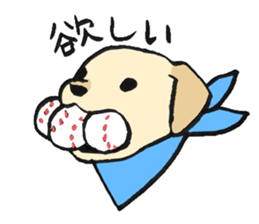 NO DOG NO LIFE sticker #8516228