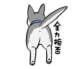 NO DOG NO LIFE sticker #8516233