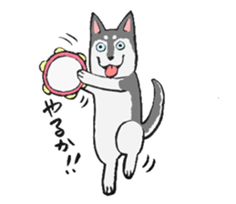 NO DOG NO LIFE sticker #8516235