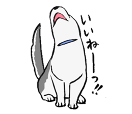 NO DOG NO LIFE sticker #8516241