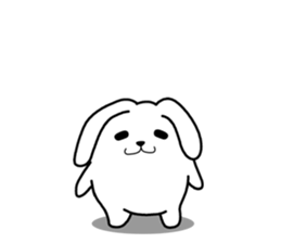Holland Lop 1 sticker #8516880