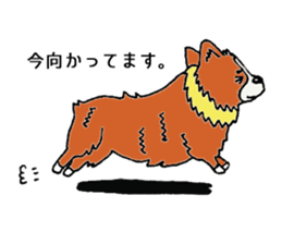 mokomoko Corgi sticker #8519444