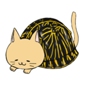 cat boxturtle sticker #8521444