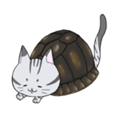 cat boxturtle sticker #8521445