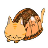 cat boxturtle sticker #8521446